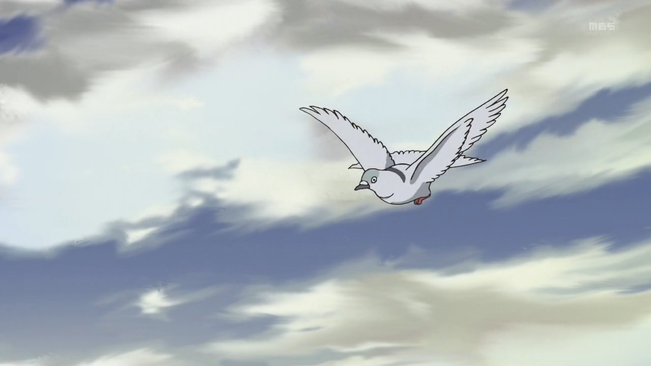 Кадры из Куми и тюльпан (2015)