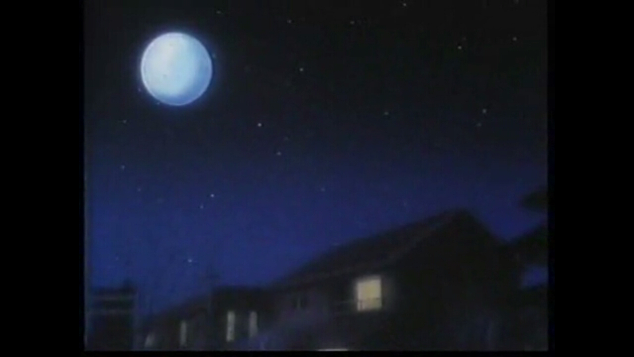 Кошачья фантазия (1991)