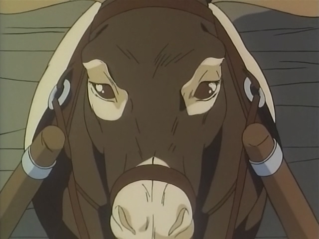 Кадры из Мадара (1991)