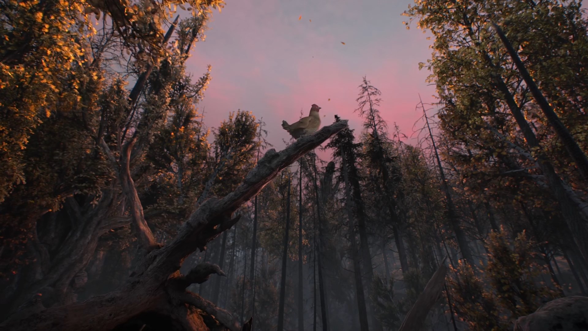 Кадры из Легендарные братья (2022)