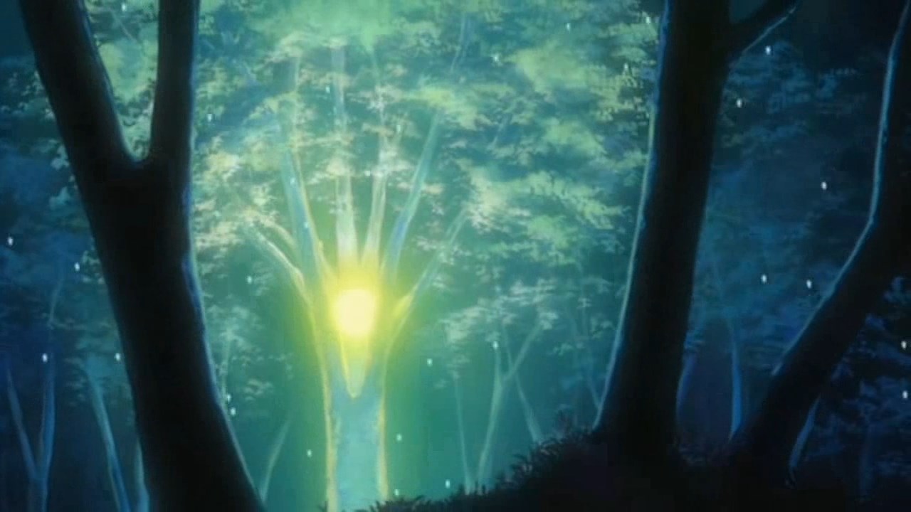 Кадры из Этот ужасный и прекрасный мир (2004)