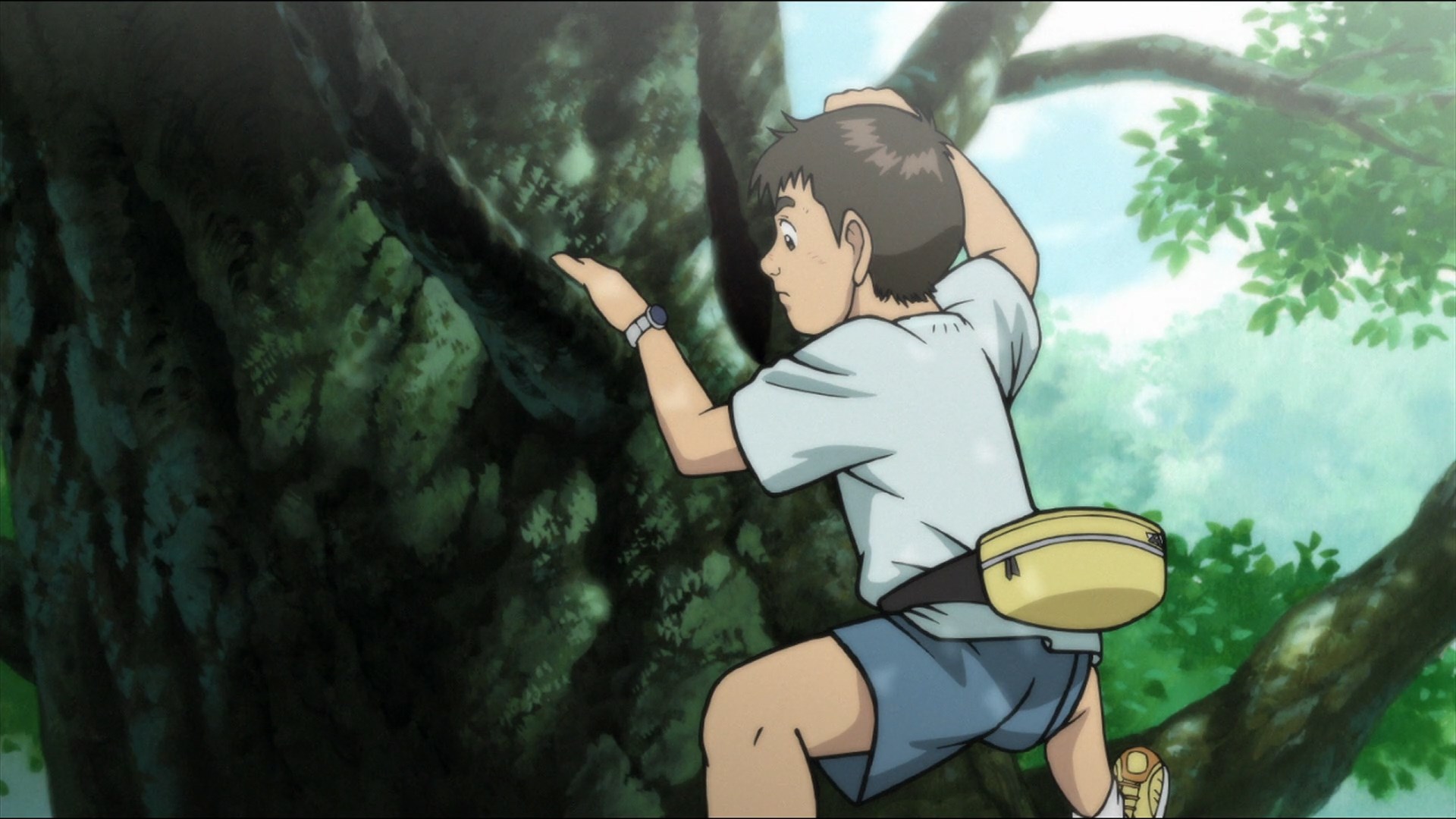 Дух солнца (2006)