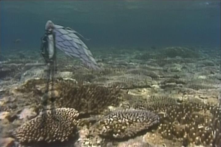 Кадры из Беттермен (1999)