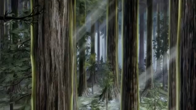 Кадры из Покемон Навсегда. Селеби – голос леса (2001)