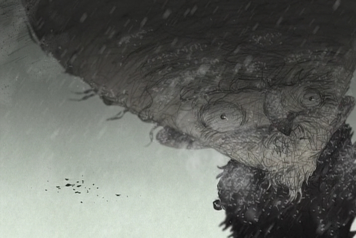 Сельский врач (2007)