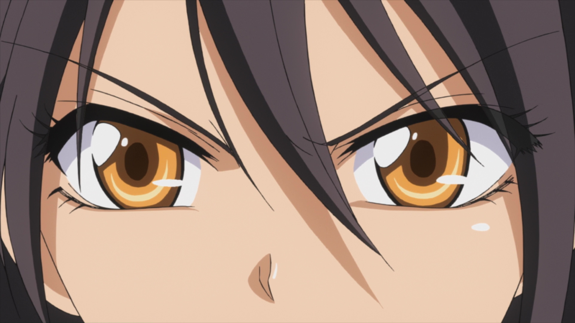 Кадры из Президент – горничная! (2010)