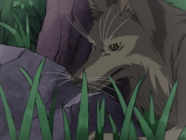 Кадры из Магический Покан (2006)