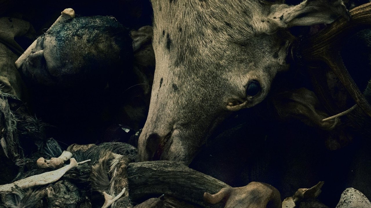 Кадры из Одербрух (2024)