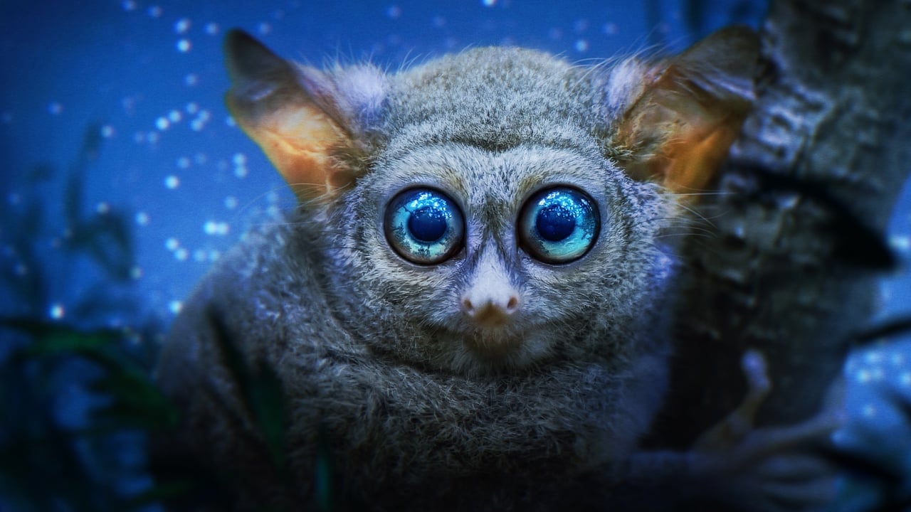 Кадры из Земля ночью в цвете (2020)