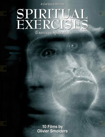 Смотреть Любитель онлайн в HD качестве 720p