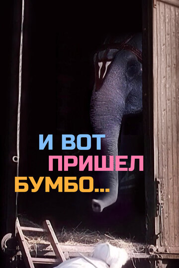 Смотреть И вот пришел Бумбо... онлайн в HD качестве 720p
