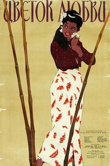 Смотреть Цветок любви онлайн в HD качестве 720p