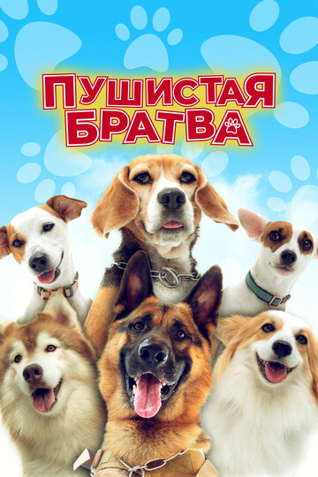 Смотреть Пушистая братва онлайн в HD качестве 720p