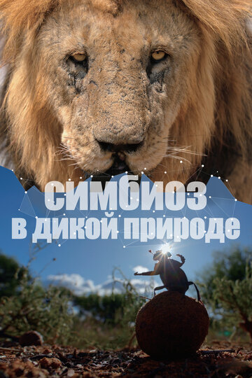 Смотреть Симбиоз в дикой природе онлайн в HD качестве 720p