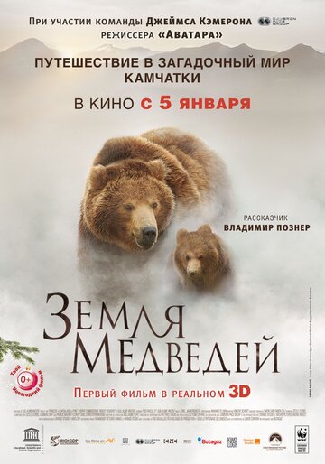 Смотреть Земля медведей онлайн в HD качестве 720p