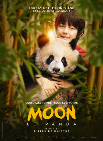 Смотреть Моя панда онлайн в HD качестве 720p