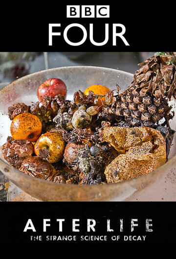 Смотреть После смерти: Загадочная наука разложения на хдрезка онлайн в HD качестве 720p