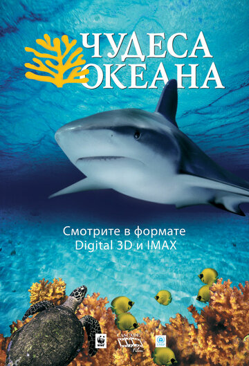 Постер Чудеса океана 3D фильм 2003 смотреть онлайн бесплатно в хорошем качестве - HDrezka.by