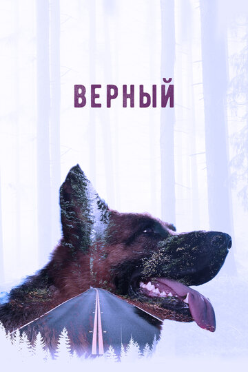 Смотреть Верный онлайн в HD качестве 720p
