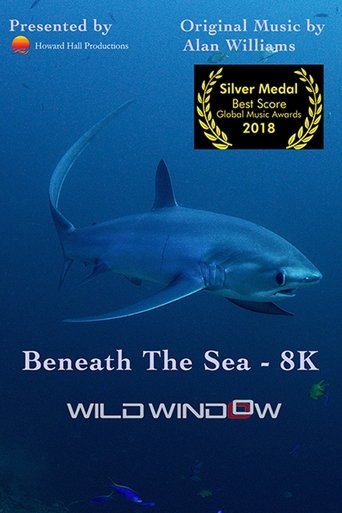 Смотреть Wild Window: Beneath the Sea онлайн в HD качестве 