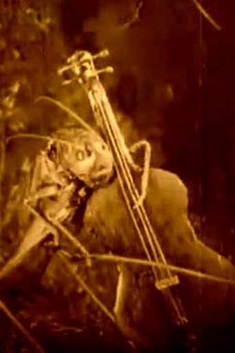 Смотреть Веселые сценки из жизни животных на хдрезка онлайн в HD качестве 720p