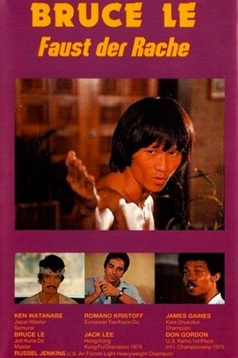 Смотреть Мстительный кулак Брюса на HDrezka онлайн в HD качестве 720p