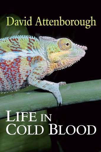 Смотреть BBC: Жизнь с холодной кровью онлайн в HD качестве 720p