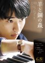 Смотреть Лес из шерсти и стали на HDrezka онлайн в HD качестве 720p