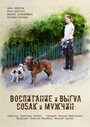 Смотреть Воспитание и выгул собак и мужчин на хдрезка онлайн в HD качестве 720p