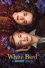 Смотреть Белая птица: Новое чудо на HDrezka онлайн в HD качестве 720p