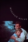 Смотреть Медовый месяц на HDrezka онлайн в HD качестве 720p