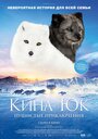 Смотреть Кина и Юк: Пушистые приключения на хдрезка онлайн в HD качестве 720p