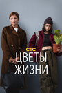 Смотреть Цветы жизни на HDrezka онлайн в HD качестве 720p