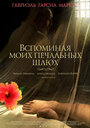 Смотреть Вспоминая моих печальных шлюх на HDrezka онлайн в HD качестве 720p