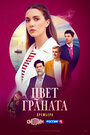 Смотреть Цвет граната онлайн в HD качестве 