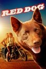 Смотреть Рыжий пес на хдрезка онлайн в HD качестве 720p
