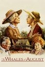 Смотреть Августовские киты онлайн в HD качестве 
