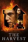 Смотреть Урожай онлайн в HD качестве 720p