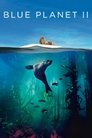 Смотреть BBC: Голубая планета 2 на хдрезка онлайн в HD качестве 720p