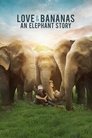 Смотреть Любовь и бананы на HDrezka онлайн в HD качестве 720p