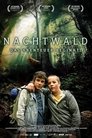 Смотреть Темный лес на HDrezka онлайн в HD качестве 720p
