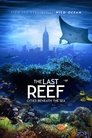 Смотреть Последний риф 3D на хдрезка онлайн в HD качестве 720p
