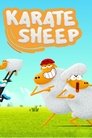 Смотреть Барашек-каратист на HDrezka онлайн в HD качестве 720p