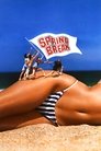 Смотреть Весенние каникулы на хдрезка онлайн в HD качестве 720p