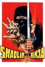 Смотреть Шаолинь против ниндзя на хдрезка онлайн в HD качестве 720p