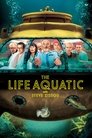 Смотреть Водная жизнь на хдрезка онлайн в HD качестве 720p