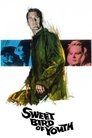 Смотреть Сладкоголосая птица юности на хдрезка онлайн в HD качестве 720p