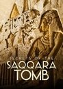 Смотреть Тайны саккарских гробниц на хдрезка онлайн в HD качестве 720p